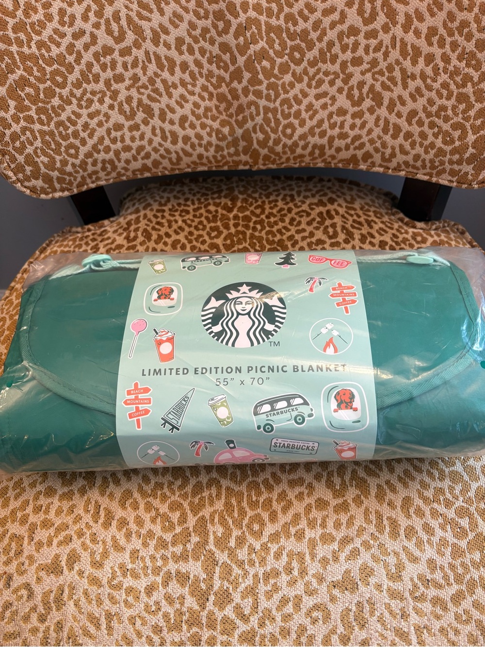 Starbucks Teal Green Limited Edition Picnic Blanket with Stickers